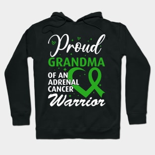 Adrenal Cancer Awareness Adrenal Cancer Warrior Grandma Hoodie